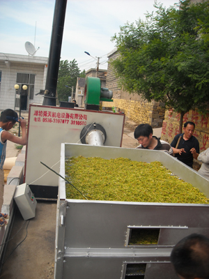 金銀花烘干機(jī) 金銀花烘干機(jī)